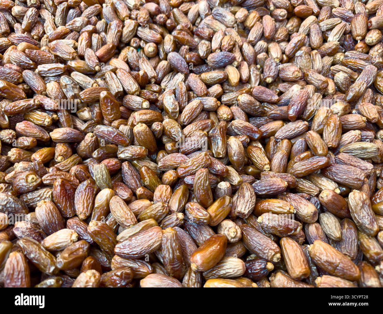 Una vista di un mucchio di date, nel negozio. Foto Stock