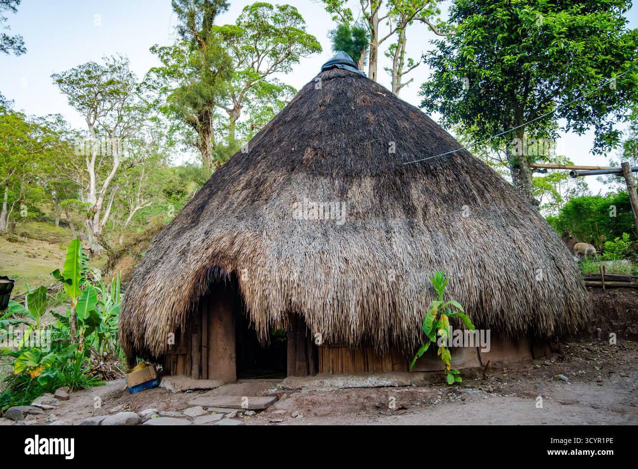 Una tradizionale casa rotonda con tetto in paglia sull'isola di Timor, Indonesia. Foto Stock
