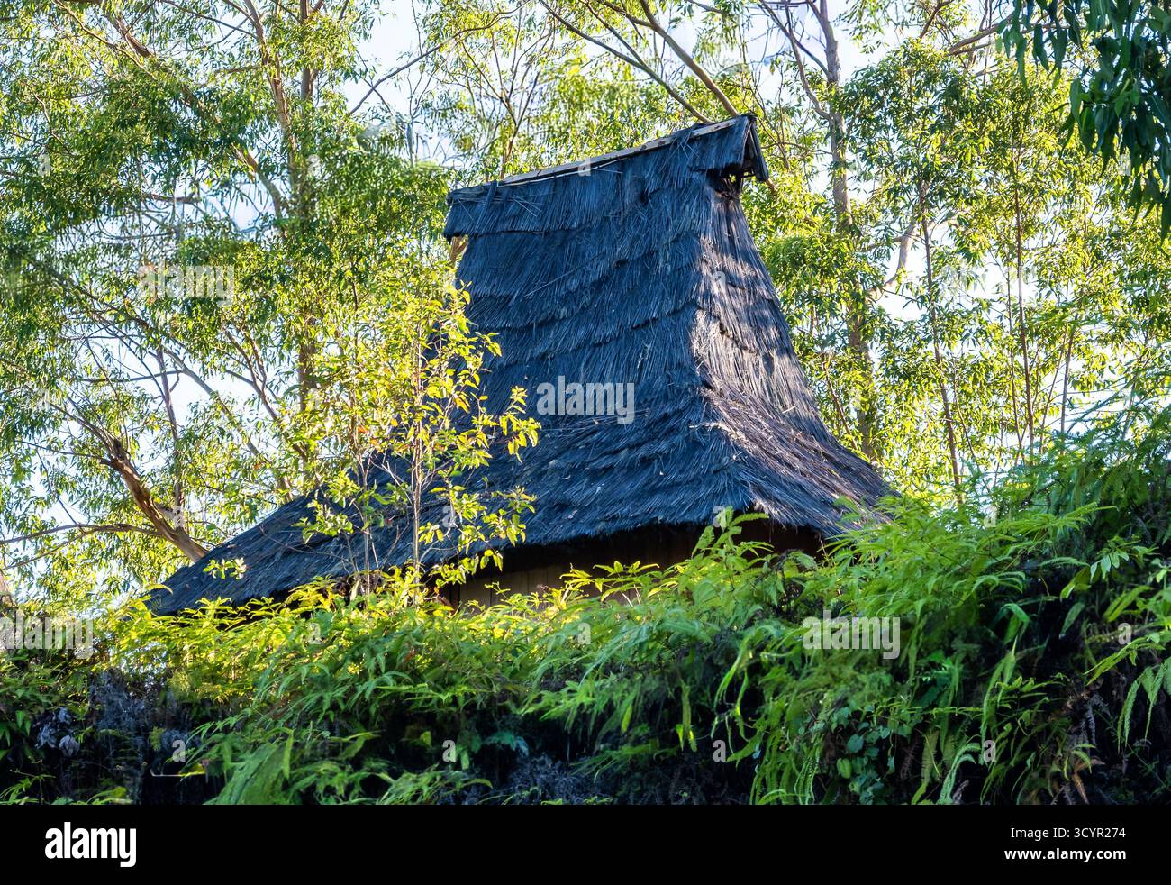 Case tradizionali chiamate Ngada con tetto in paglia di erba. L'alto ngadhu o bhaga è per gli spiriti dei loro antenati. Flores, Indonesia. Foto Stock