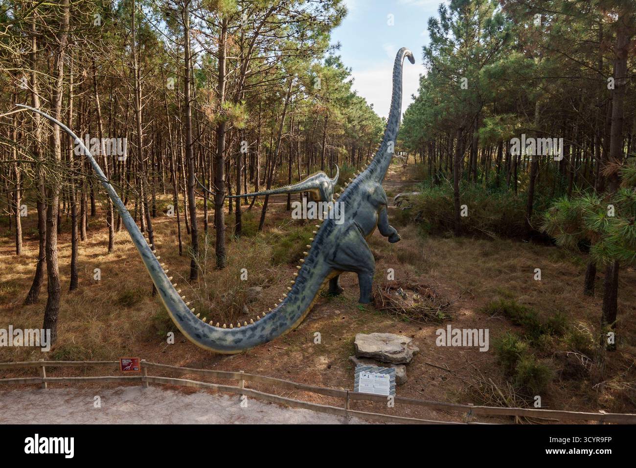 Scultura a grandezza naturale di un dinosauro sauropode Supersaurus Lourinhanensis esposto in Foto Stock