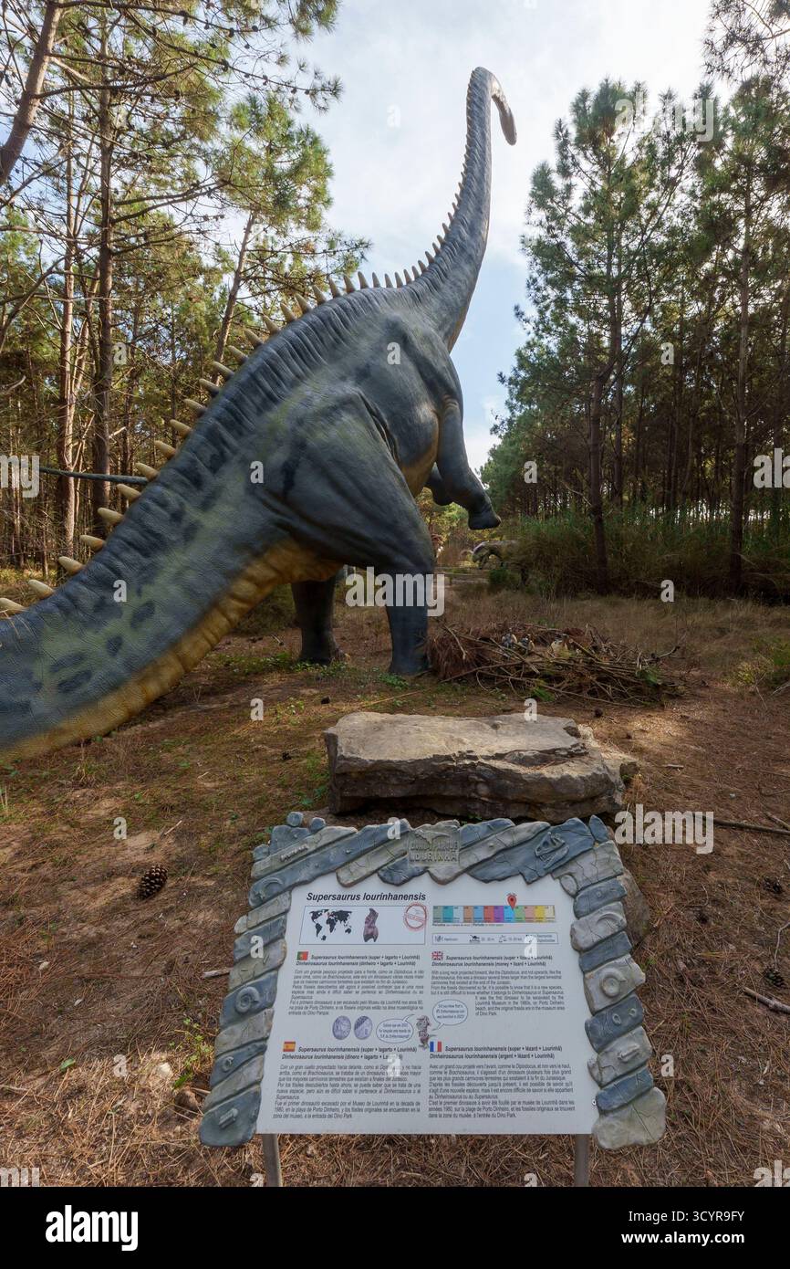 Scultura a grandezza naturale di un dinosauro sauropode Supersaurus Lourinhanensis esposto in Foto Stock