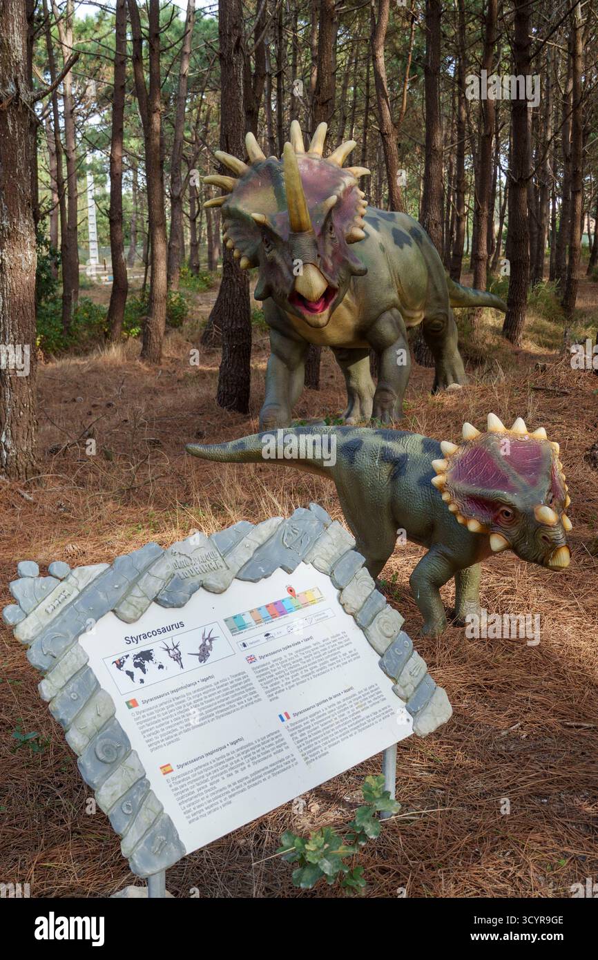 Modelli a grandezza naturale di due dinosauri Styracosaurus con un cartello informativo presso il parco tematico dei dinosauri Dino Parque a Lourinhã, Portogallo, Europa Foto Stock