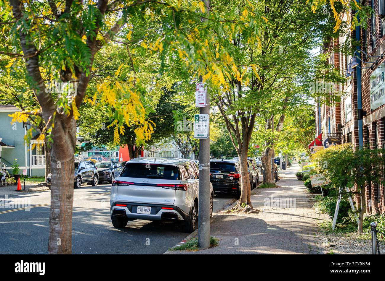 Strada urbana alberata con auto parcheggiate a del Ray, Alexandria, Virginia, Stati Uniti, in una giornata autunnale di sole Foto Stock