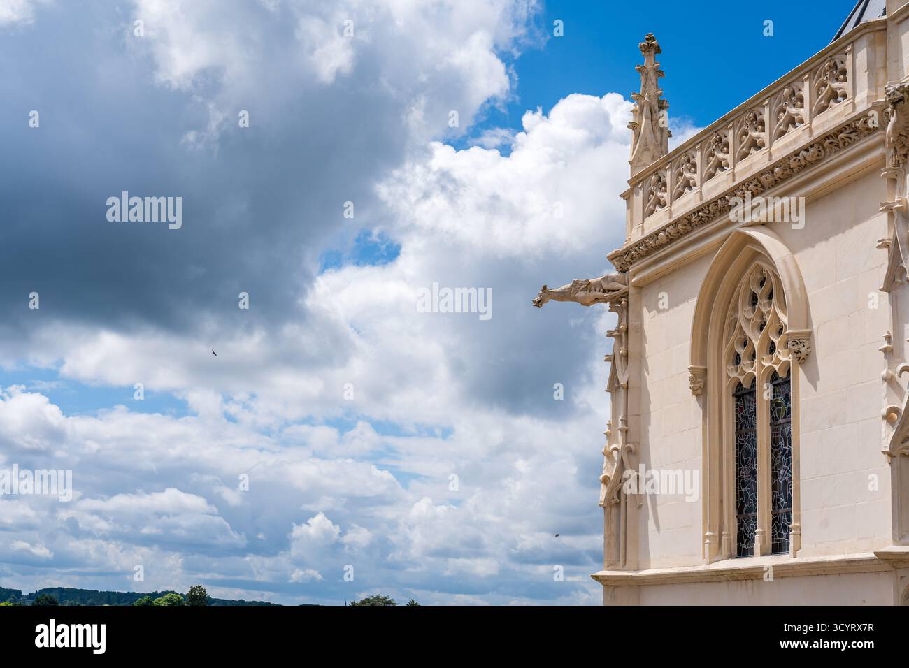 Primo piano sull'angolo superiore della facciata esterna del castello gotico francese decorato con un gargoyle Foto Stock