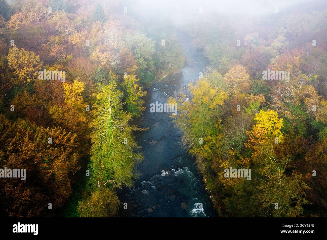 Splendido fiume Krka in nebbia mattutina circondato da splendidi alberi nel fogliame autunnale, vista aerea di un fiume e splendidi colori della foresta autunnale Foto Stock