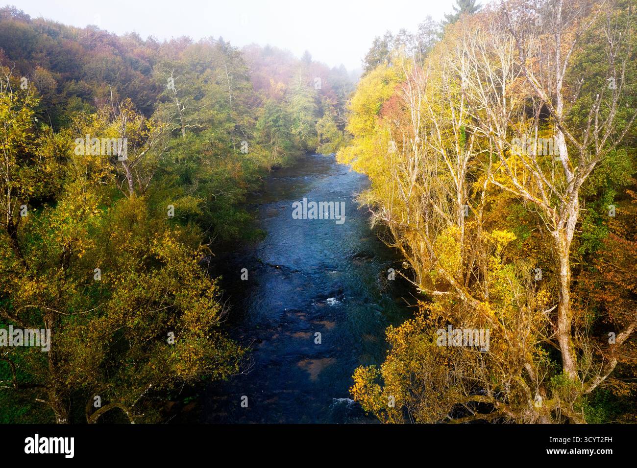 Splendido fiume Krka in nebbia mattutina circondato da splendidi alberi nel fogliame autunnale, vista aerea di un fiume e splendidi colori della foresta autunnale Foto Stock