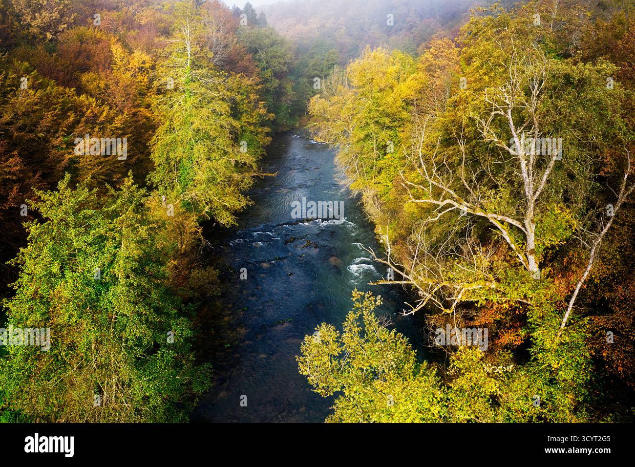 Splendido fiume Krka in nebbia mattutina circondato da splendidi alberi nel fogliame autunnale, vista aerea di un fiume e splendidi colori della foresta autunnale Foto Stock