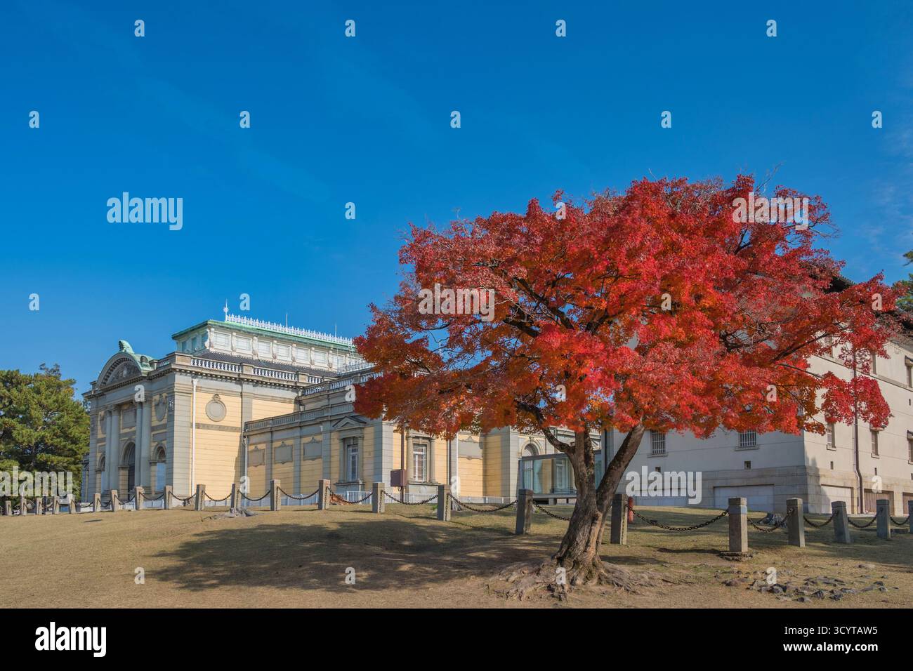 Nara, Giappone, Nara Park nella stagione autunnale Foto Stock