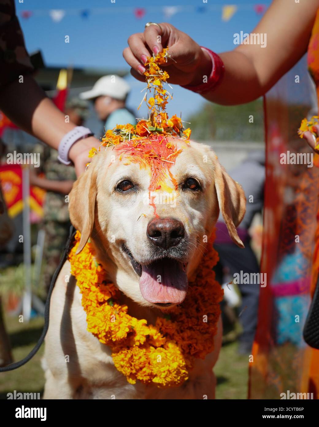 Bhaktapur, Bagmati, Nepal. 20 ottobre 2025. L'esercito nepalese segna KukurTihar a Bhairav Bahan Gulm a Bhaktapur. Kukur Tihar è un festival indù annuale originario del Nepal che cade il secondo giorno della festa di Tihar (intorno a ottobre o novembre). In questo giorno, le persone adorano i cani per compiacere Yama, il dio della morte, in quanto sono considerati i suoi messaggeri. (Credit Image: © Amit Machamasi/ZUMA Press Wire) SOLO PER USO EDITORIALE! Non per USO commerciale! Foto Stock