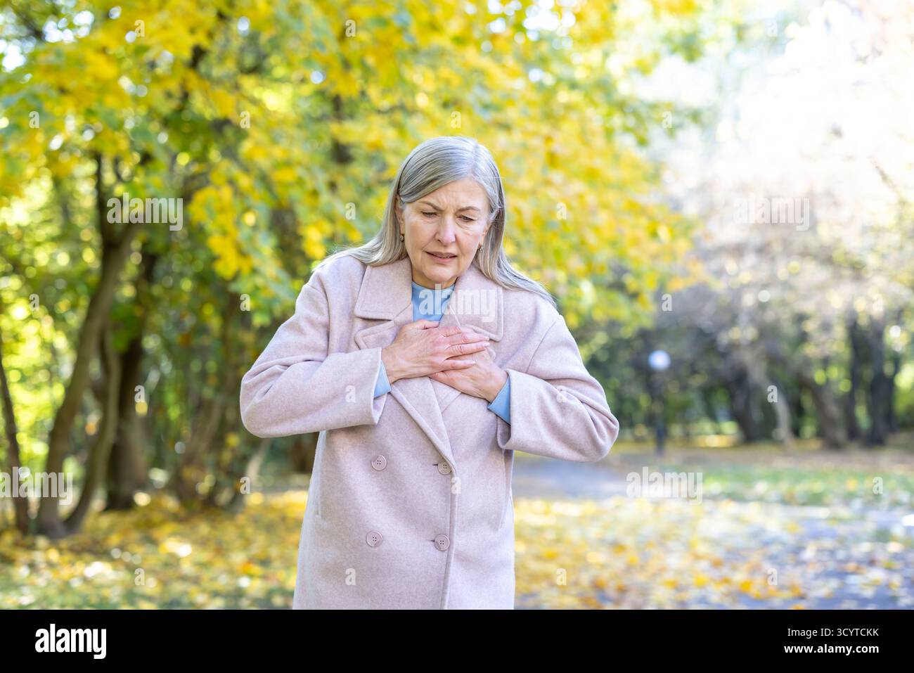 Donna anziana dai capelli grigi che tiene le mani sul petto sentendo dolore e disagio gravi, soffrendo di infarto o sintomo di angina mentre cammina fuori nel parco autunnale, necessitando di assistenza medica urgente Foto Stock