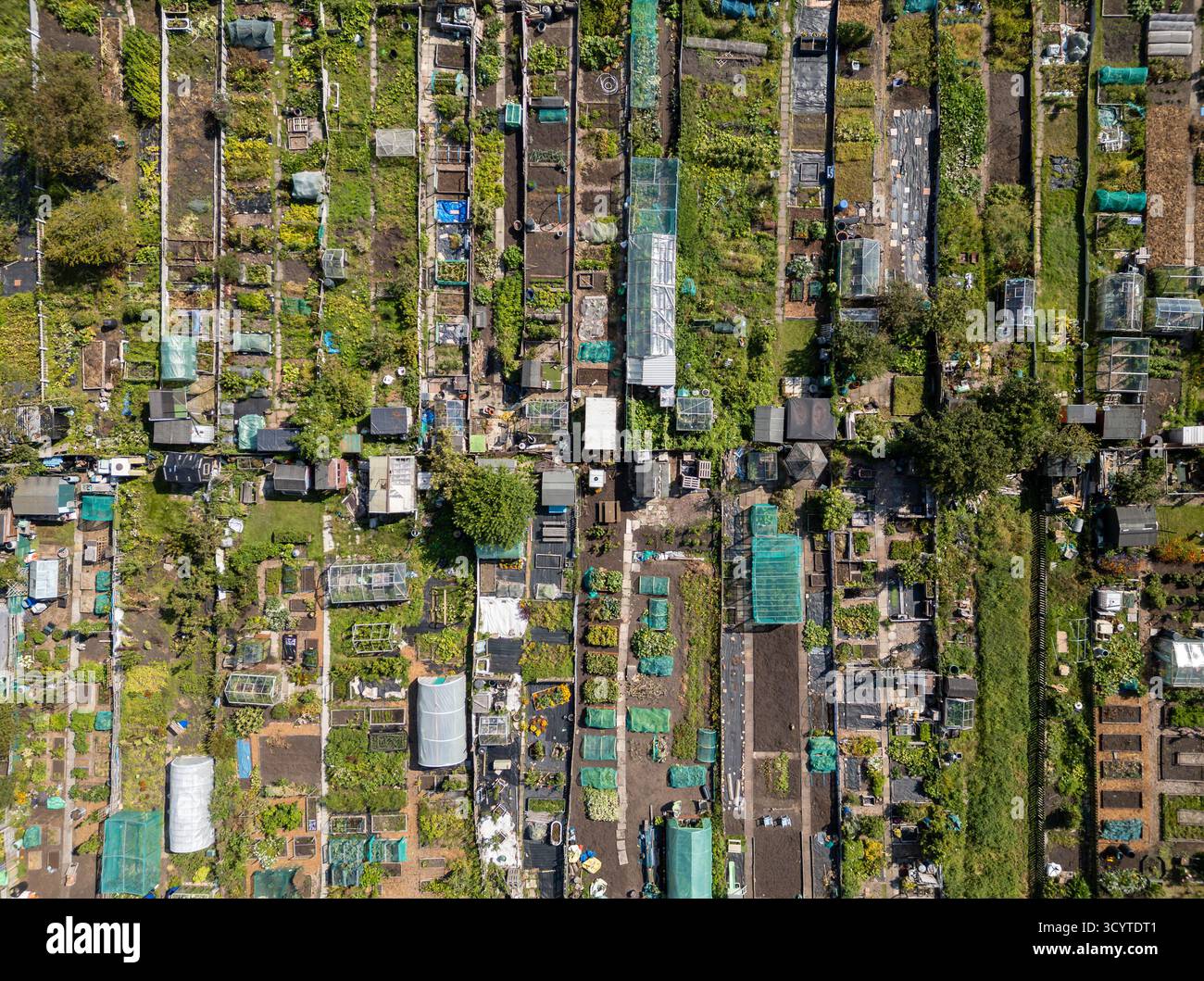 SOUTHPORT, MERSEYSIDE, INGHILTERRA - 17 AGOSTO 2025: Una vista aerea dall'alto verso il basso mostra le trame di assegnazione in fila a Southport, Merseyside, Inghilterra. Gli allotmen Foto Stock