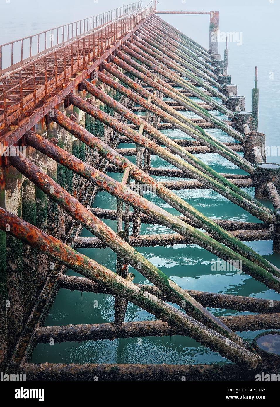 Struttura di supporto arrugginita e resistente agli agenti atmosferici di un molo o di un molo che si estende nelle nebbiose acque turchesi. Le travi metalliche sono ricoperte di ruggine, alghe e ba Foto Stock