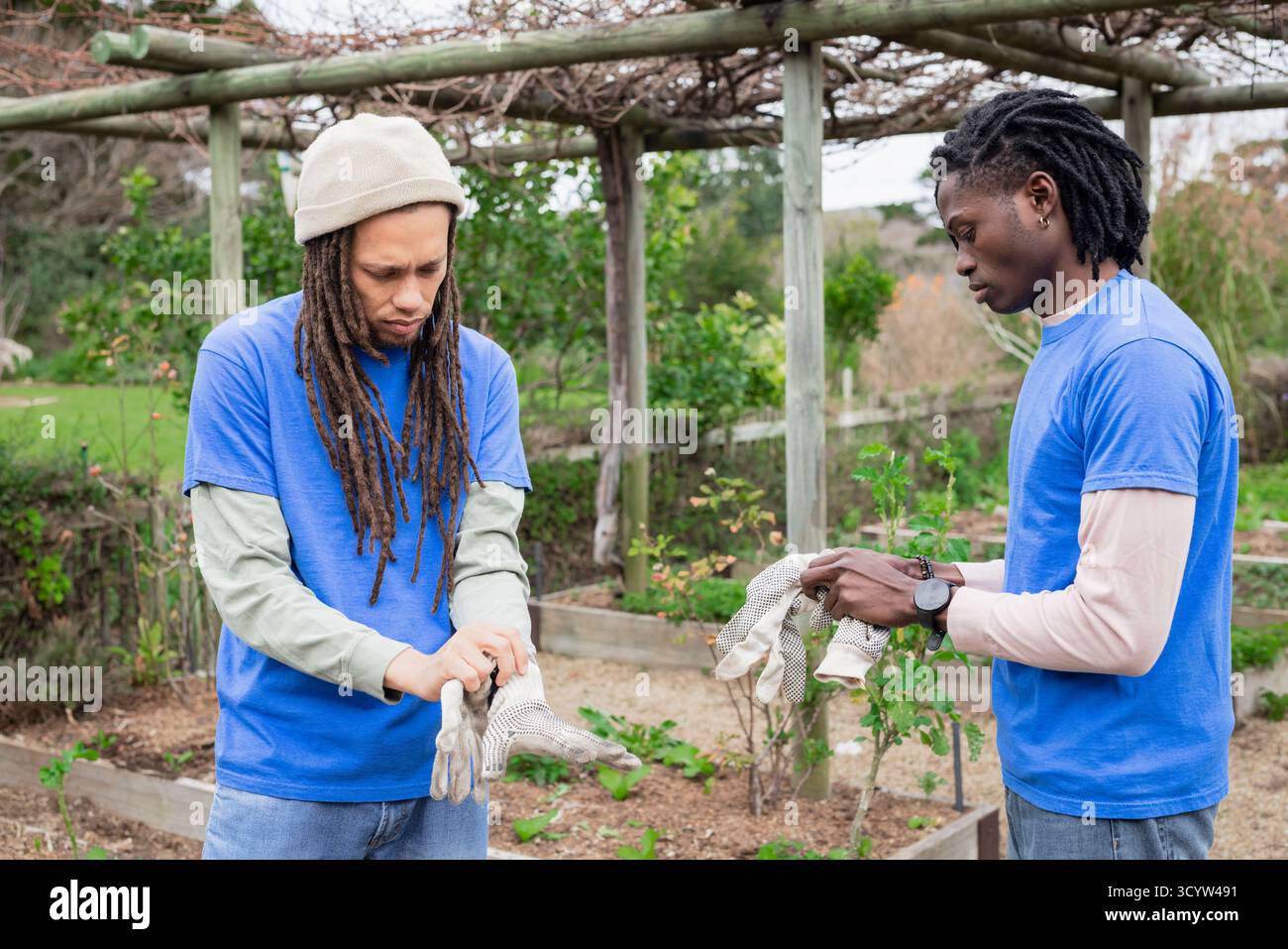 Diversi giardinieri maschi che tirano guanti da giardinaggio sotto il pergolato vicino ai letti nel giardino della comunità Foto Stock