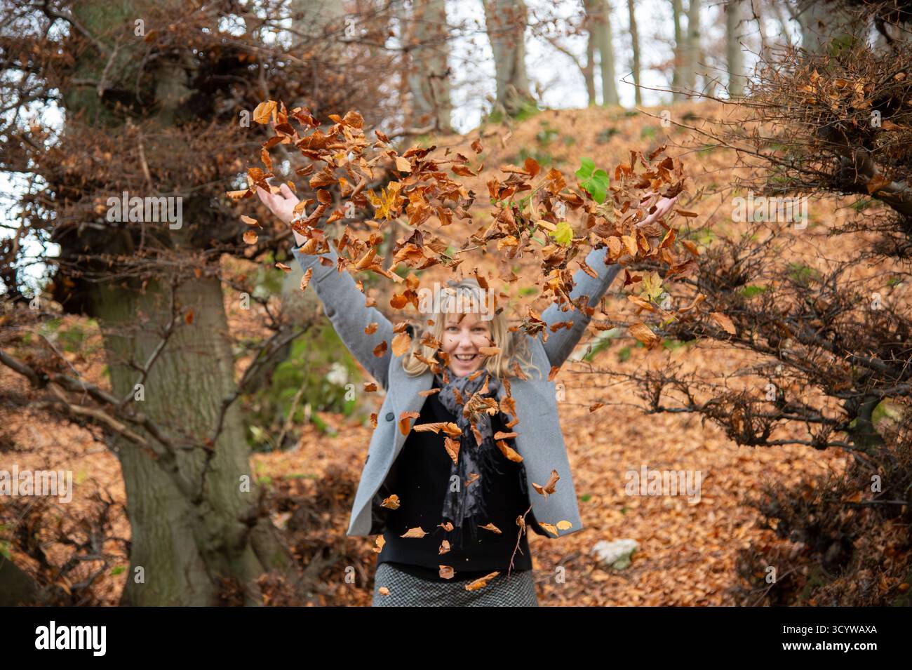 Una donna bionda di 40 anni con eleganti abiti grigi lancia foglie autunnali verso l'alto, piene di gioia di vivere. Una foresta decidua autunnale può essere vista sfocata Foto Stock