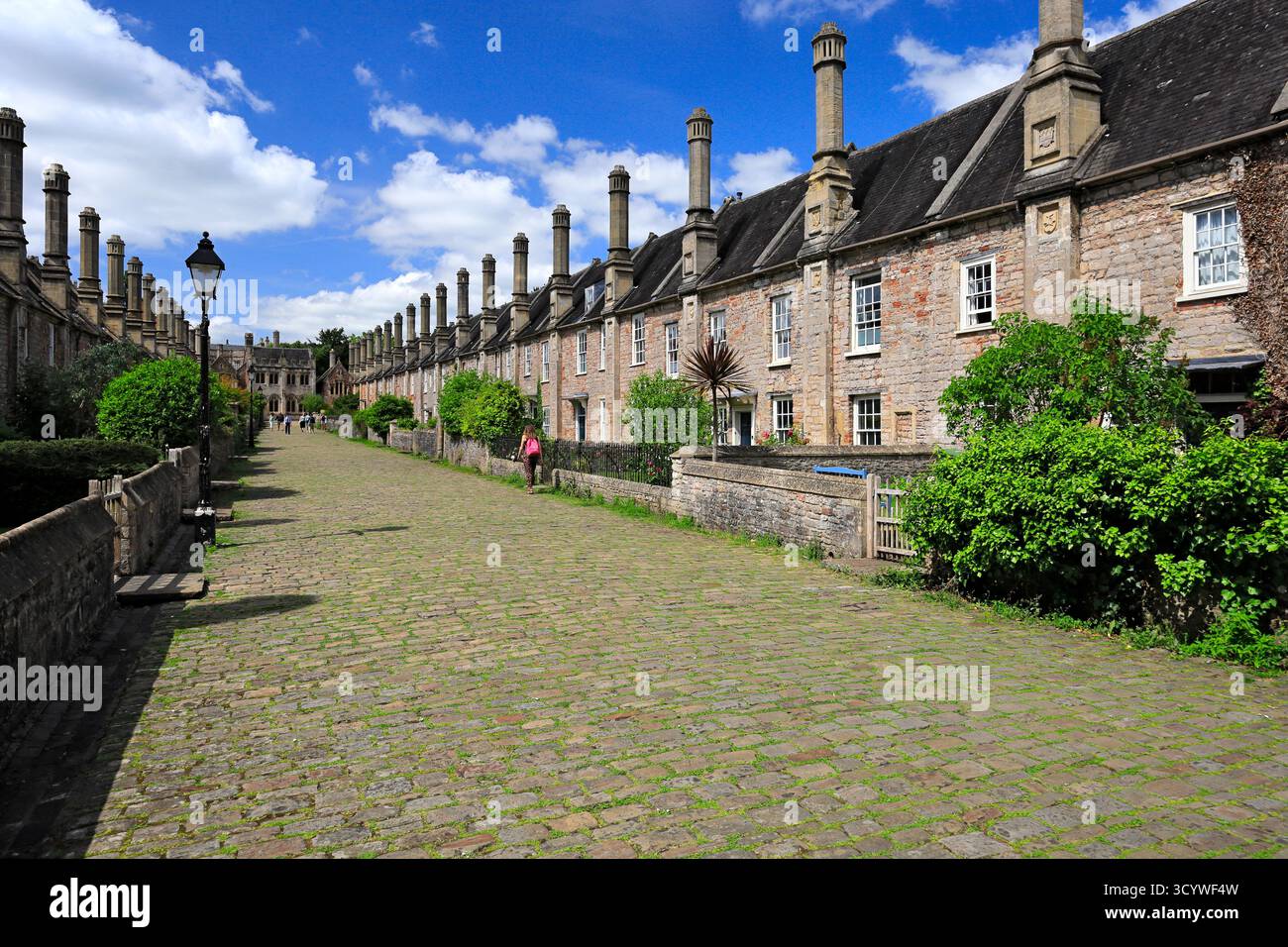 The Vicars Close, strada medievale del XIV secolo che fornisce alloggi comuni per i Vicars Choral, Wells, Somerset. Foto Stock