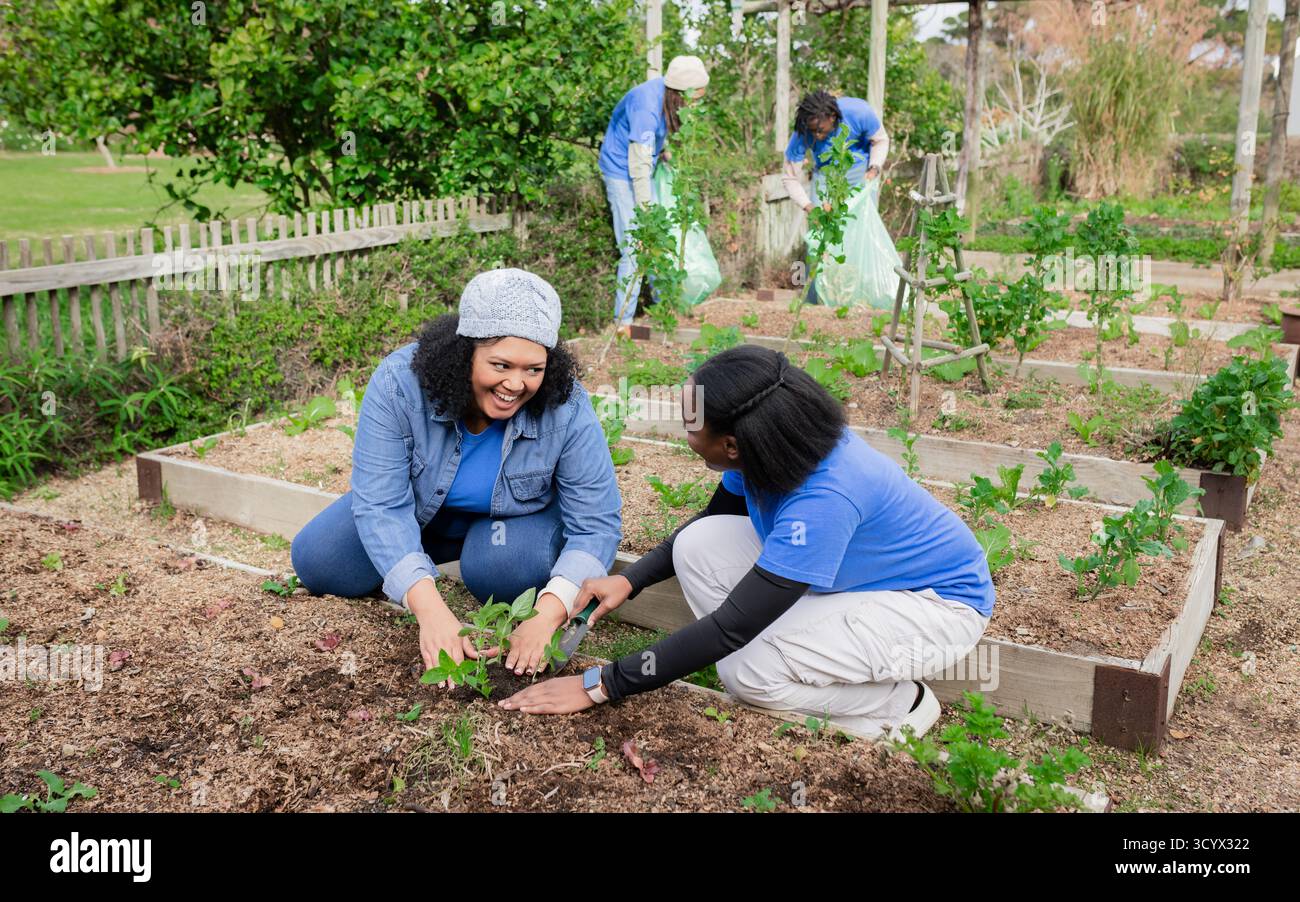 Diverse squadre di volontari si inginocchiano piantando piantine con frattazzatrici nei letti del giardino della comunità Foto Stock