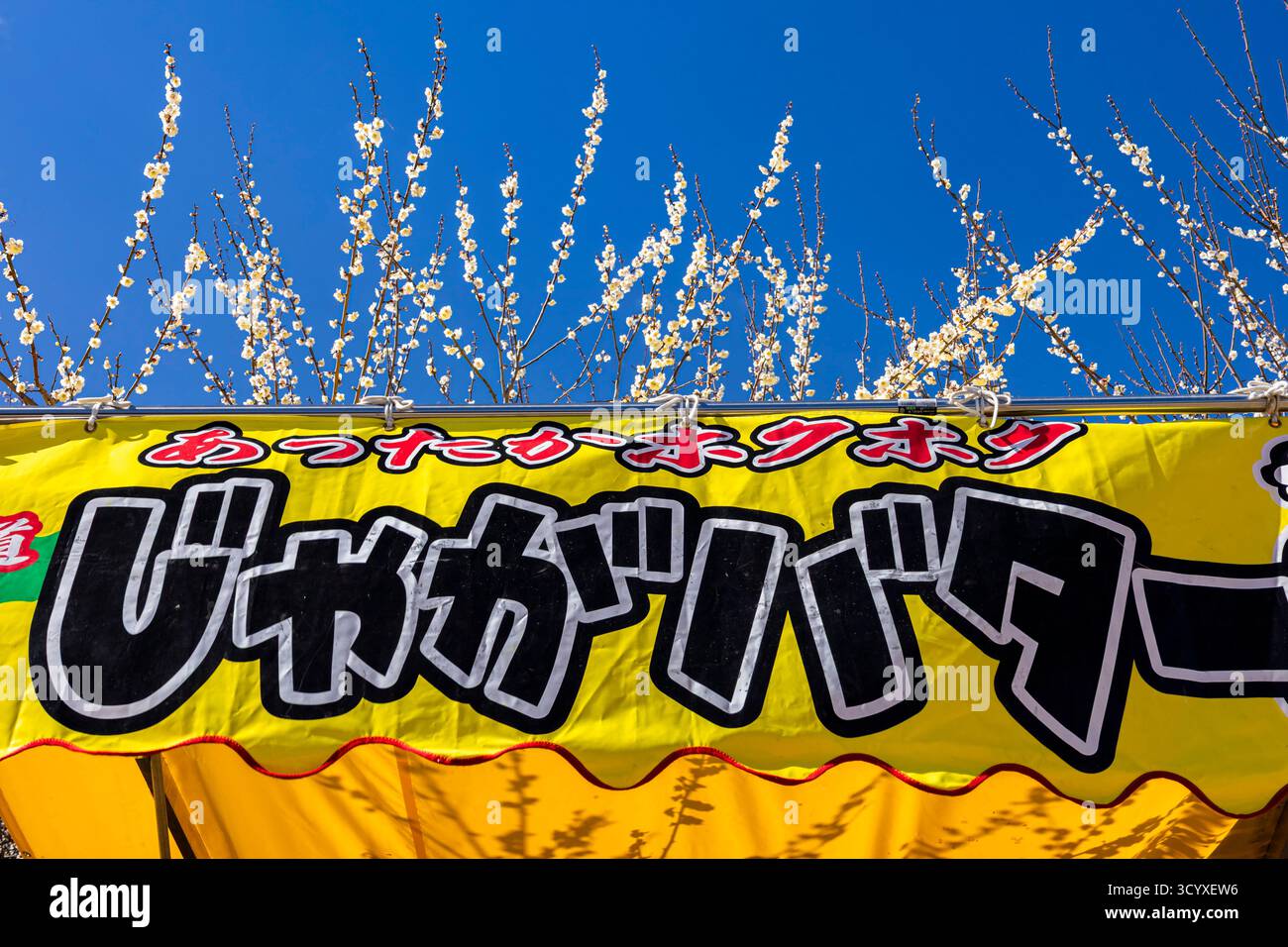 Festa dei fiori di prugna, prugna di prugna di Ogose, insegna dello stallo all'aperto, Ogose-cho (città), Saitama, Giappone, Asia orientale, Asia Foto Stock