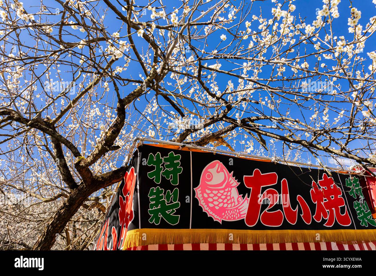 Festa dei fiori di prugna, prugna di prugna di Ogose, insegna dello stallo all'aperto, Ogose-cho (città), Saitama, Giappone, Asia orientale, Asia Foto Stock