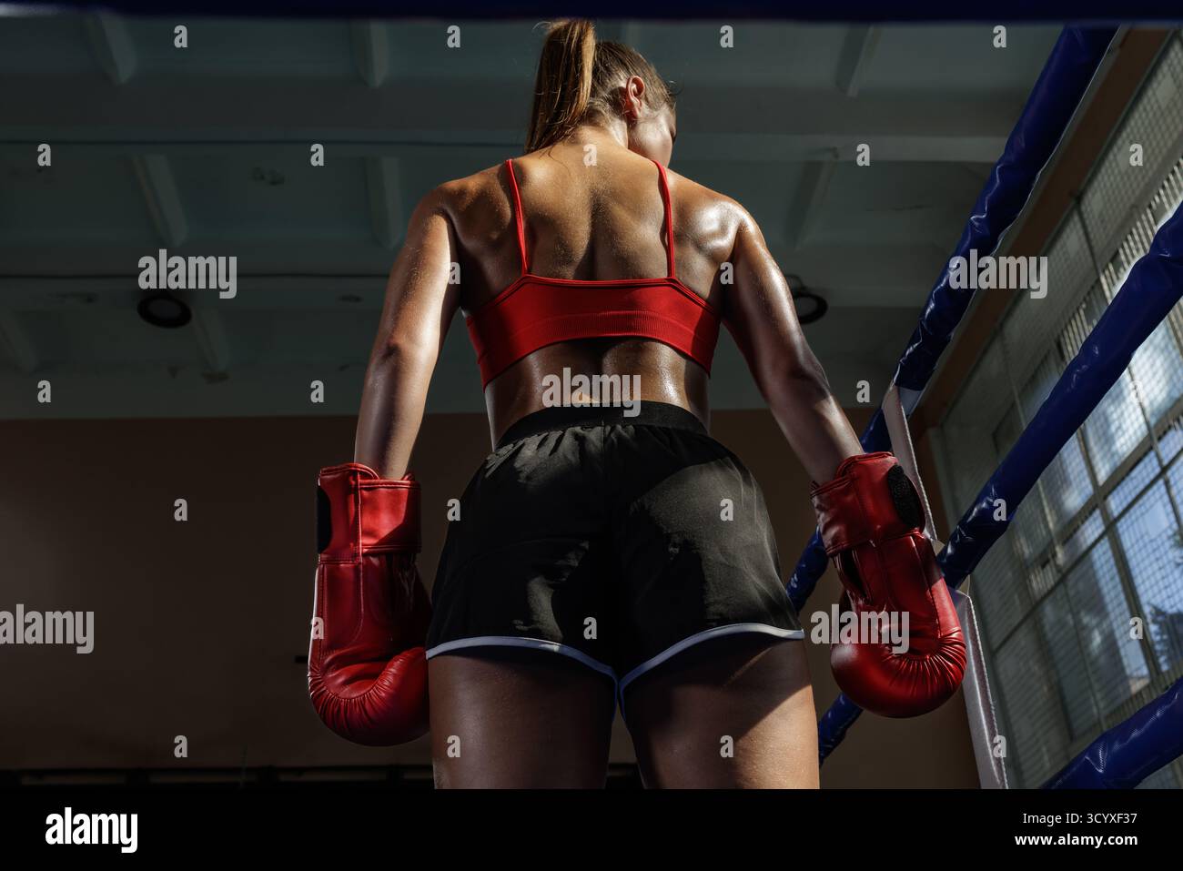 Forte pugile donna sul ring con guanti rossi e una schiena sudata, che simboleggia potenza, allenamento, concentrazione e competizione. Foto Stock