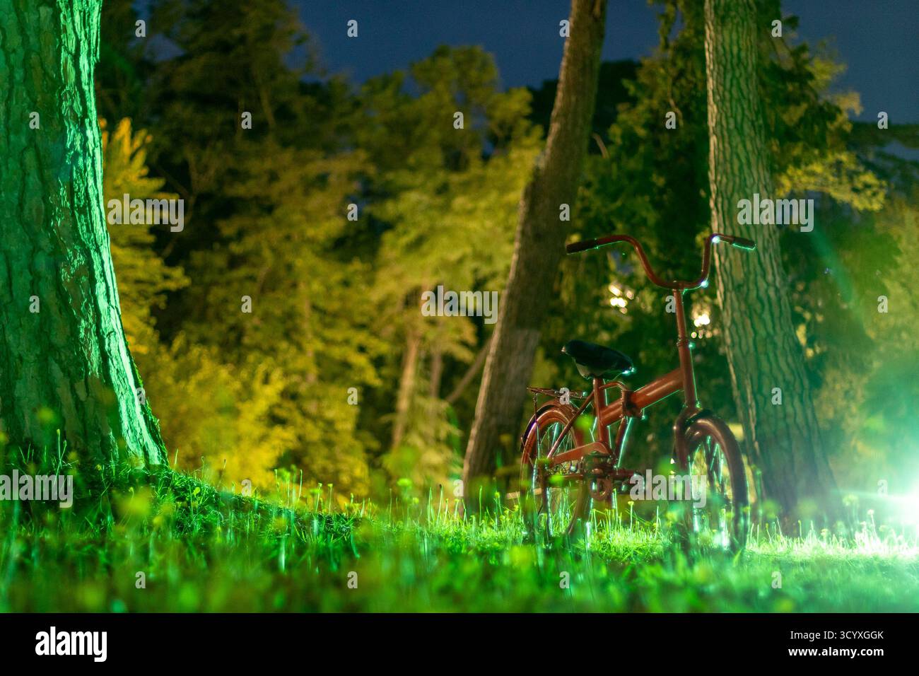 Bicicletta rossa con albero nella foresta notturna. Una bicicletta rossa d'epoca si appoggia su un albero alto in una foresta poco illuminata di notte, con un prato verde rigoglioso in primo piano Foto Stock