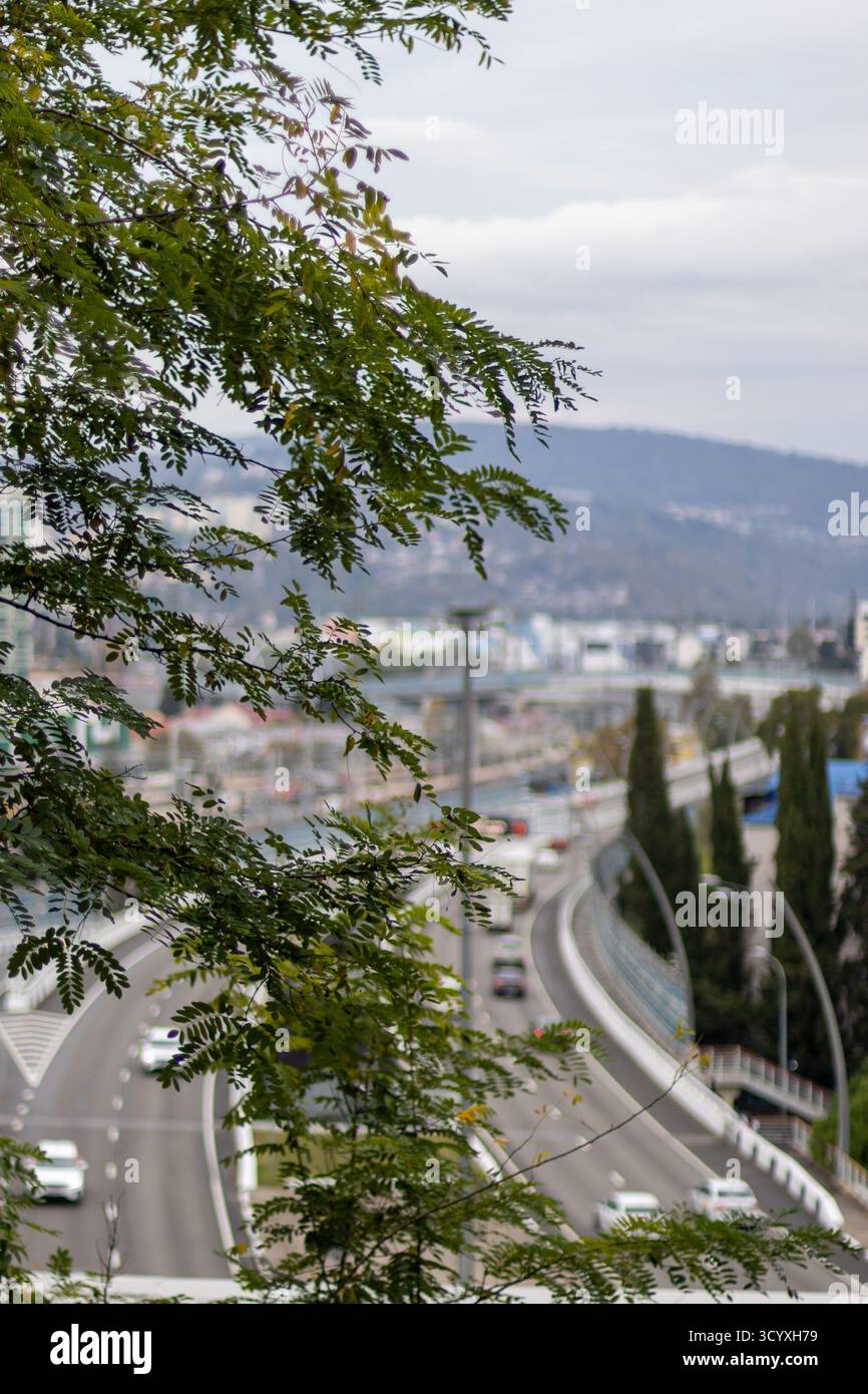 Autostrada urbana attraverso gli alberi. Vista aerea dell'autostrada a più corsie che attraversa la città con alberi alti che costeggiano i bordi, auto in movimento sotto il cielo nuvoloso, Foto Stock