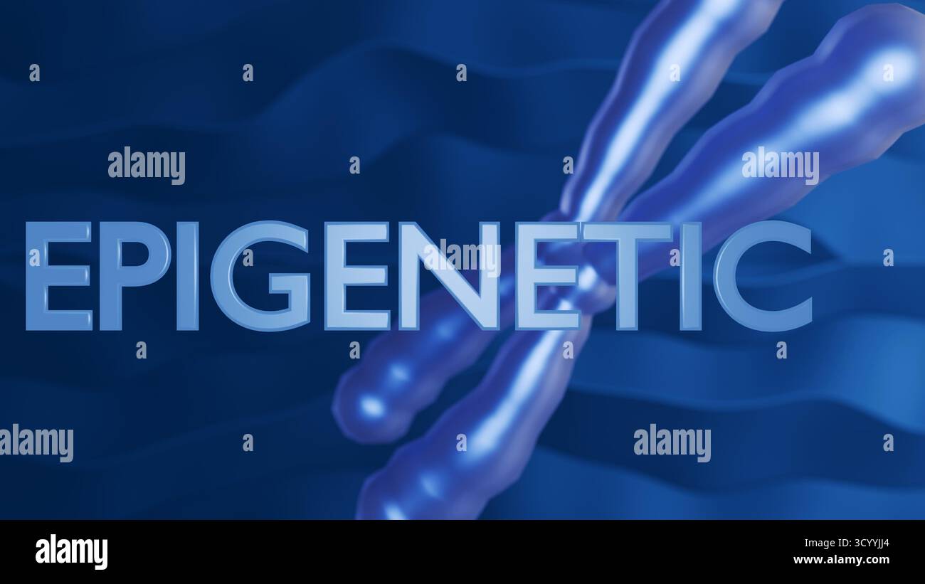Illustrazione 3d di una parola "EPIGENETICA" con modelli di cromosomi intorno Foto Stock