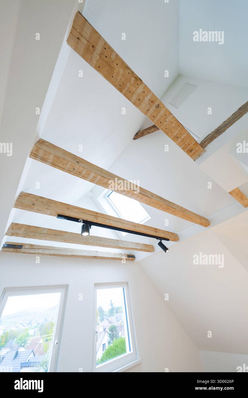 Vista su travi a soffitto con lucernario e spot ferroviario in una luminosa sala attico, ristrutturazione di case, ristrutturazione climatica, Metzingen, Germania Foto Stock
