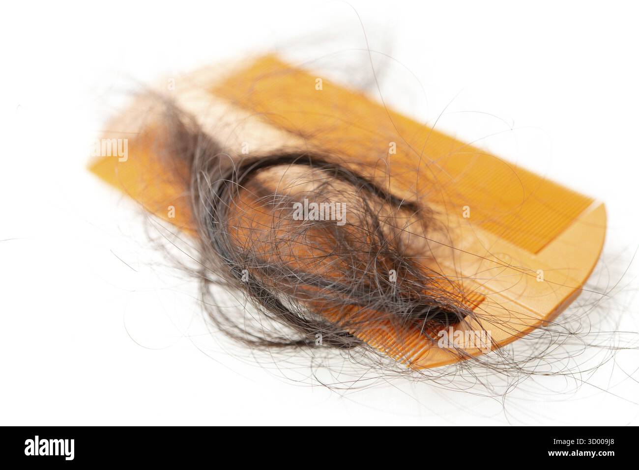 Problema di perdita di capelli. Pettinare con i capelli persi, isolati su sfondo bianco Foto Stock