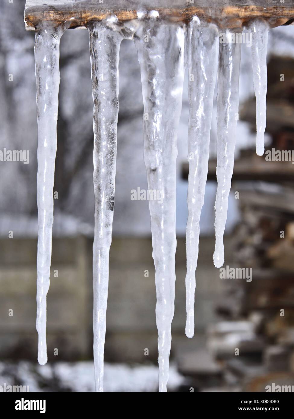 Ghiaccio sospeso dal tetto di una casa di legno in inverno. Transilvania. I ghiaccioli sono lunghi, trasparenti e rastremati, con lunghezze diverse. Foto Stock