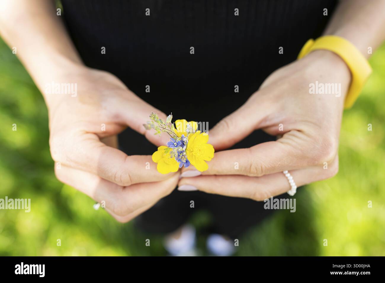 Le mani di una persona reggono un fiore giallo vibrante con piccoli fiori viola al centro. Lo sfondo è sfocato ma mostra erba verde e piante i. Foto Stock