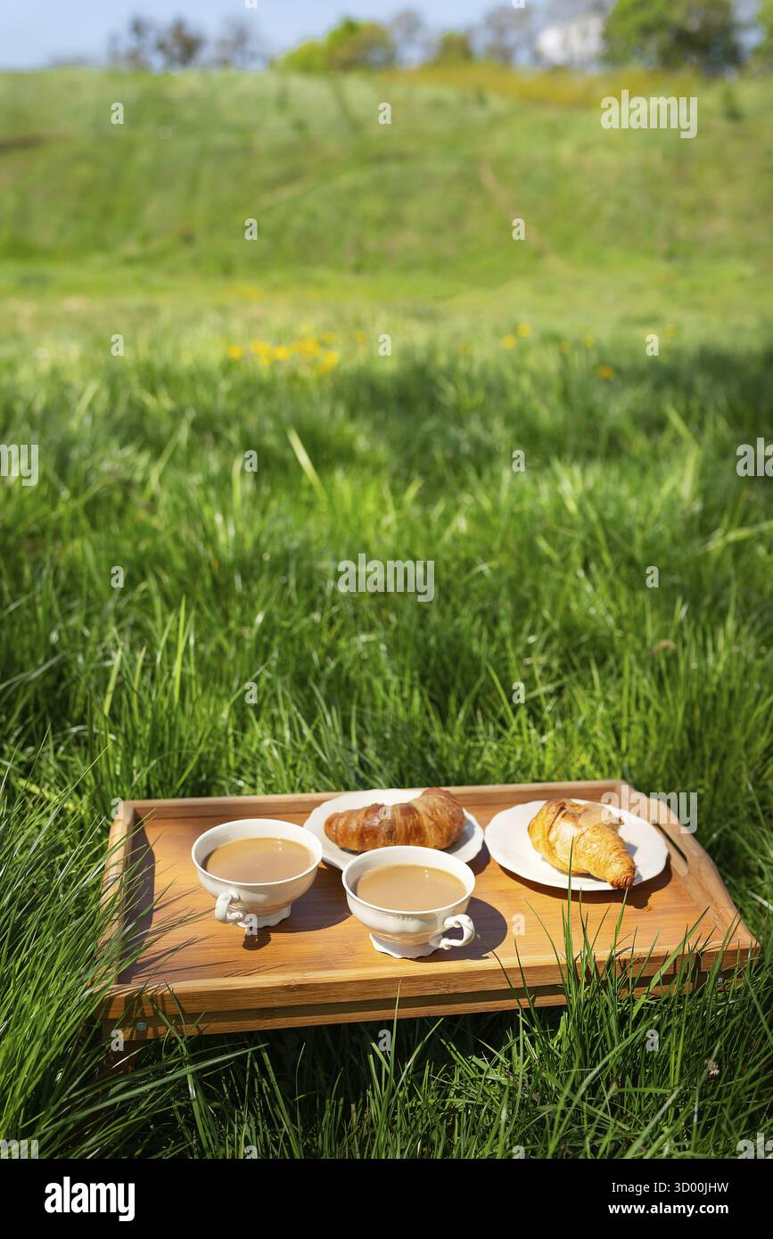 Picnic romantico nella natura, due tazze di caffè su un vassoio di legno sull'erba e croissant freschi Foto Stock