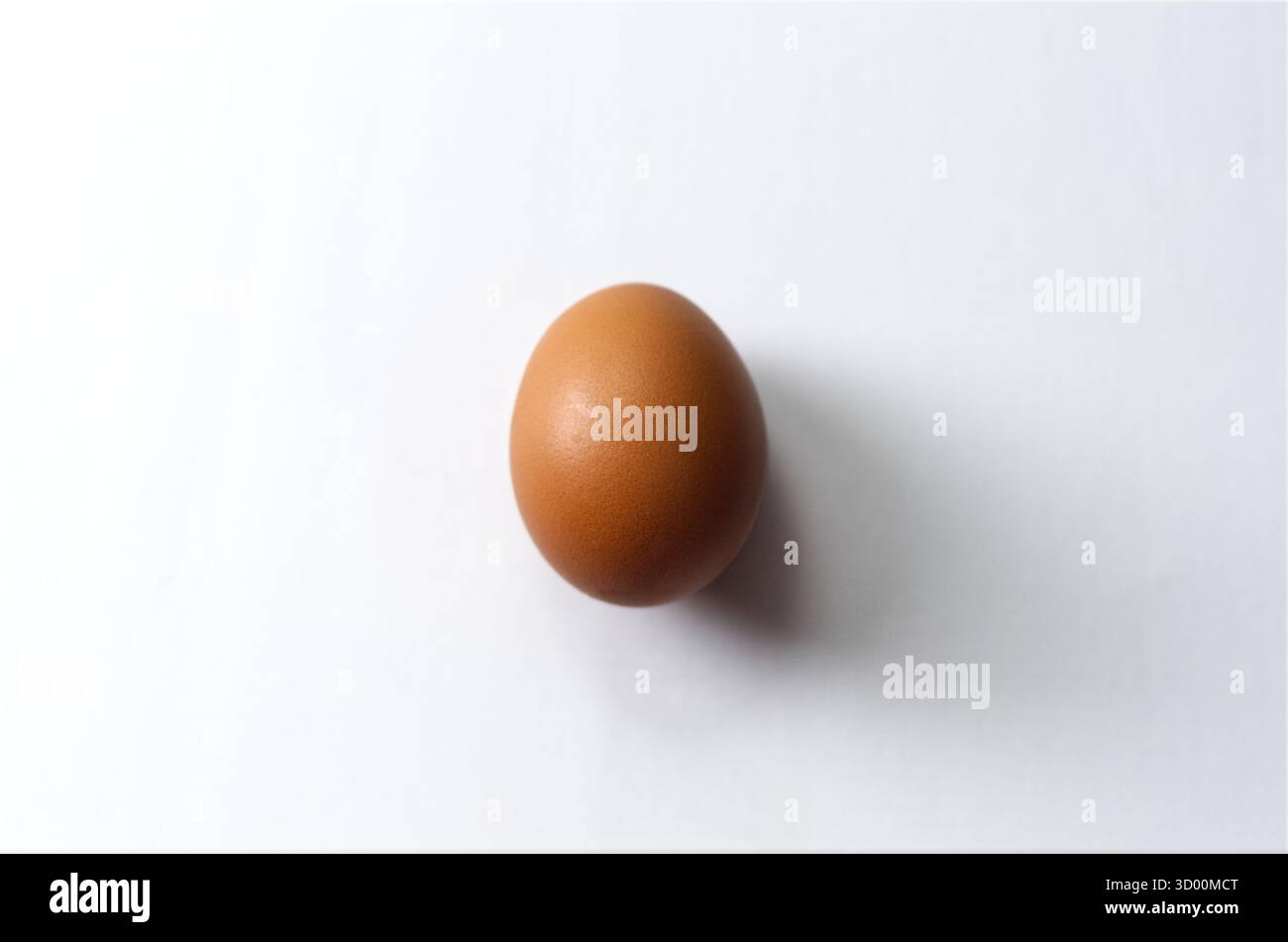 Uovo su sfondo bianco, Still Life Studio semplice per l'uso alimentare, salute e cucina Foto Stock