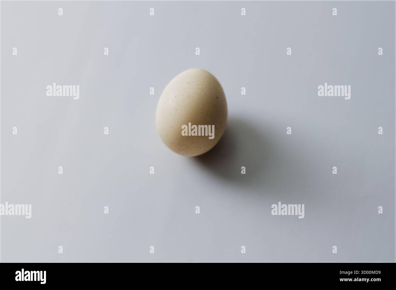 Uovo su sfondo bianco, Still Life Studio semplice per l'uso alimentare, salute e cucina Foto Stock