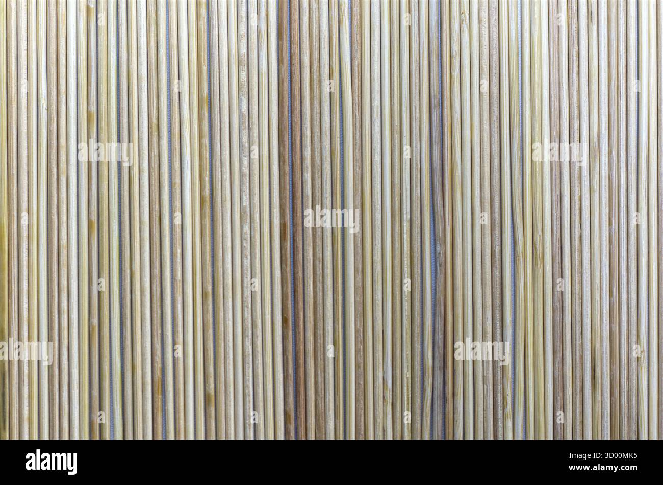 Stoffa di bambù verticale per pannelli murali naturali e sfondo rustico per interni Foto Stock