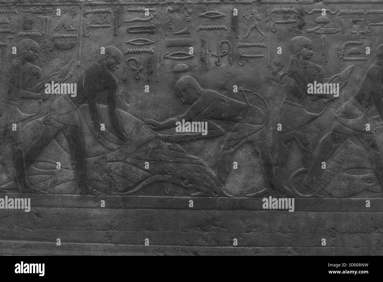 Sculture in rilievo dell'antico Egitto raffiguranti operai e scene di vita quotidiana su una tomba o un tempio a Giza, in Egitto. Foto Stock