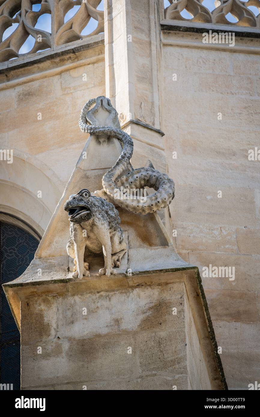 Rana Gargoyle, Francia Foto Stock