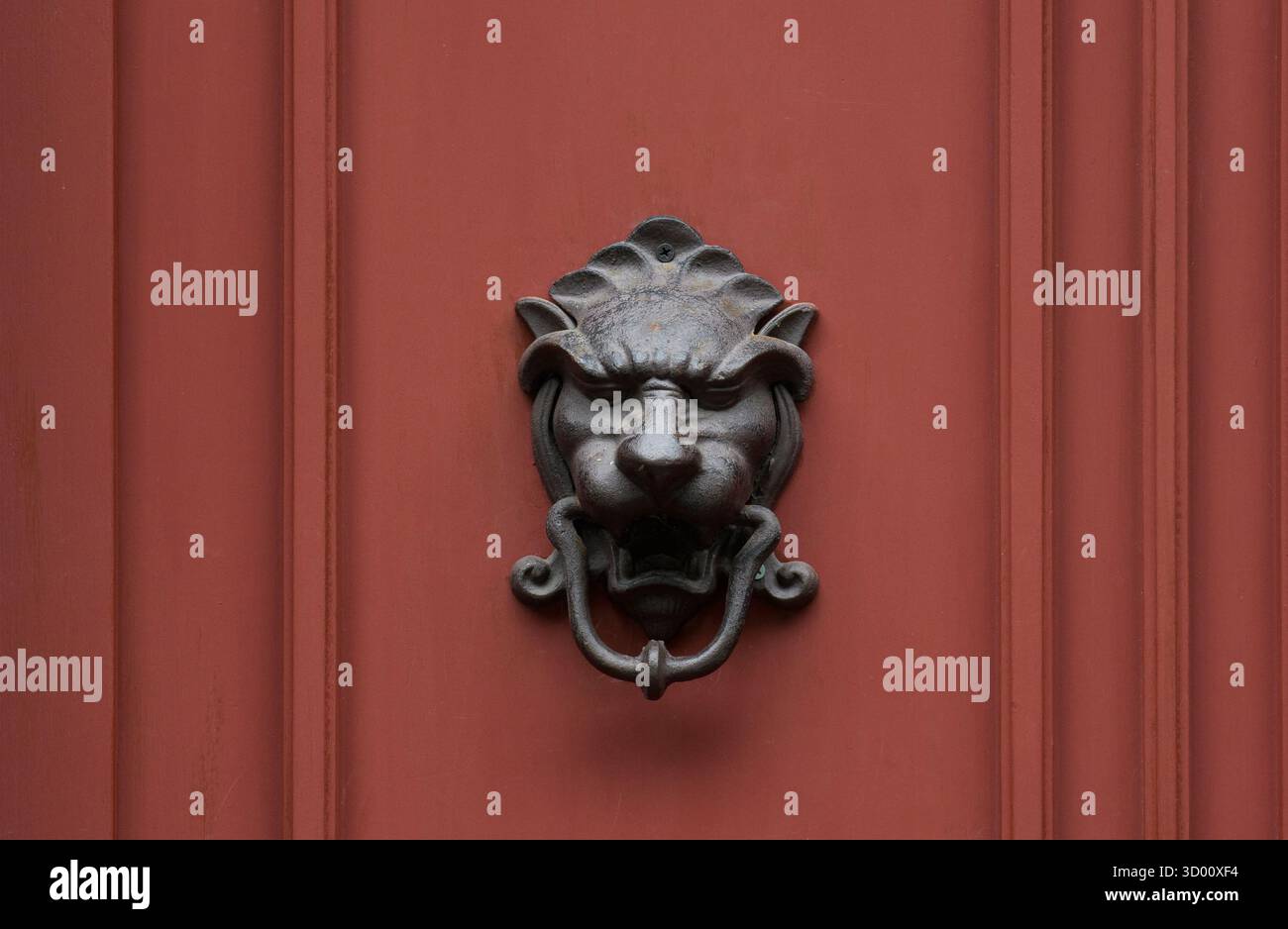 Porta a battente con faccia a leone in ghisa in stile vittoriano d'epoca Foto Stock