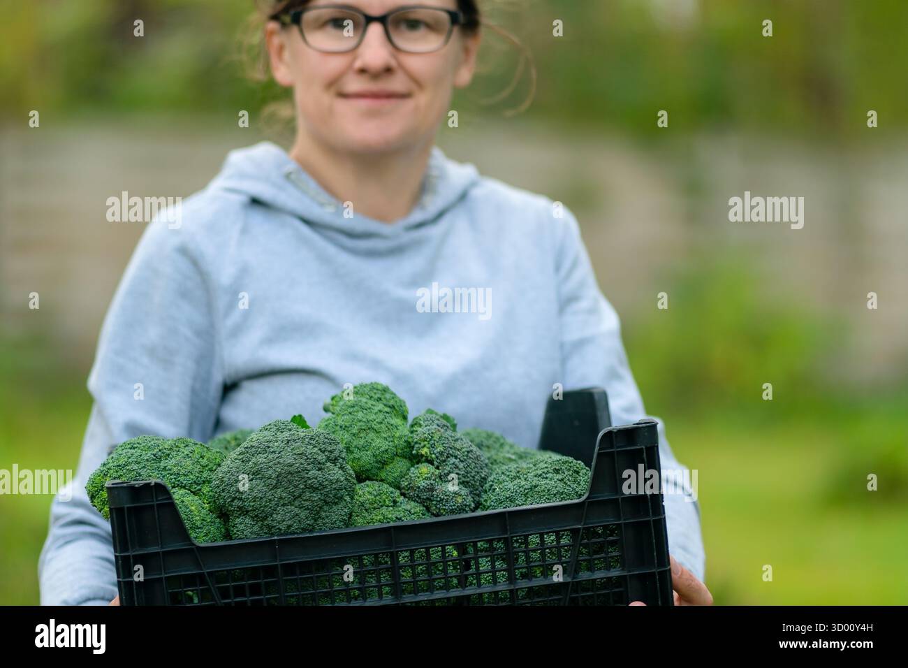 Primo piano di una donna agricoltrice che tiene una scatola con broccoli freschi. Tempo di raccolta, verdure biologiche, lavoro agricolo, stile di vita sano e cibo naturale proveniente dall'agricoltura locale. Foto Stock