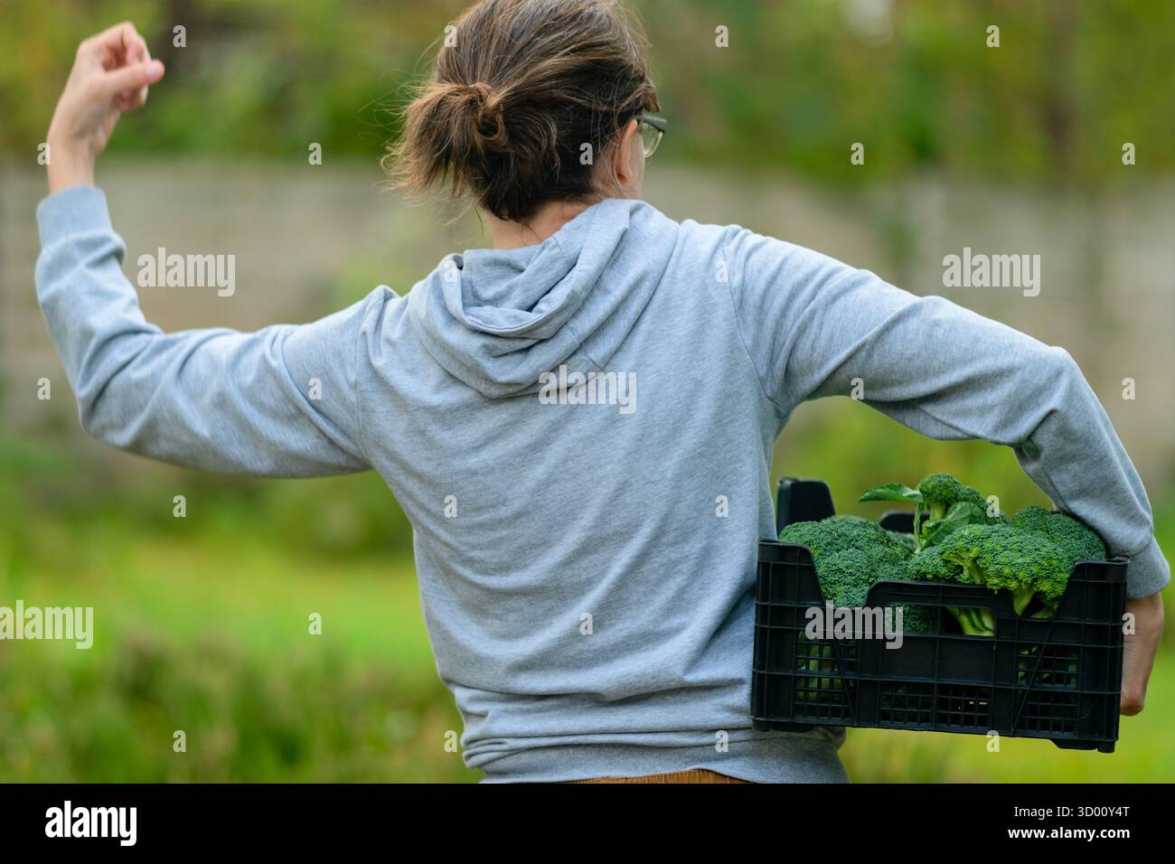 Primo piano di una donna agricoltrice che tiene una scatola con broccoli freschi. Tempo di raccolta, verdure biologiche, lavoro agricolo, stile di vita sano e cibo naturale proveniente dall'agricoltura locale. Vista posteriore Foto Stock