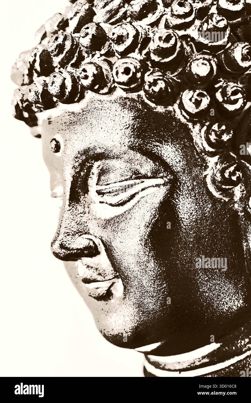 Immagine monocromatica grafica della testa di Buddha con capelli ricci stretti Foto Stock