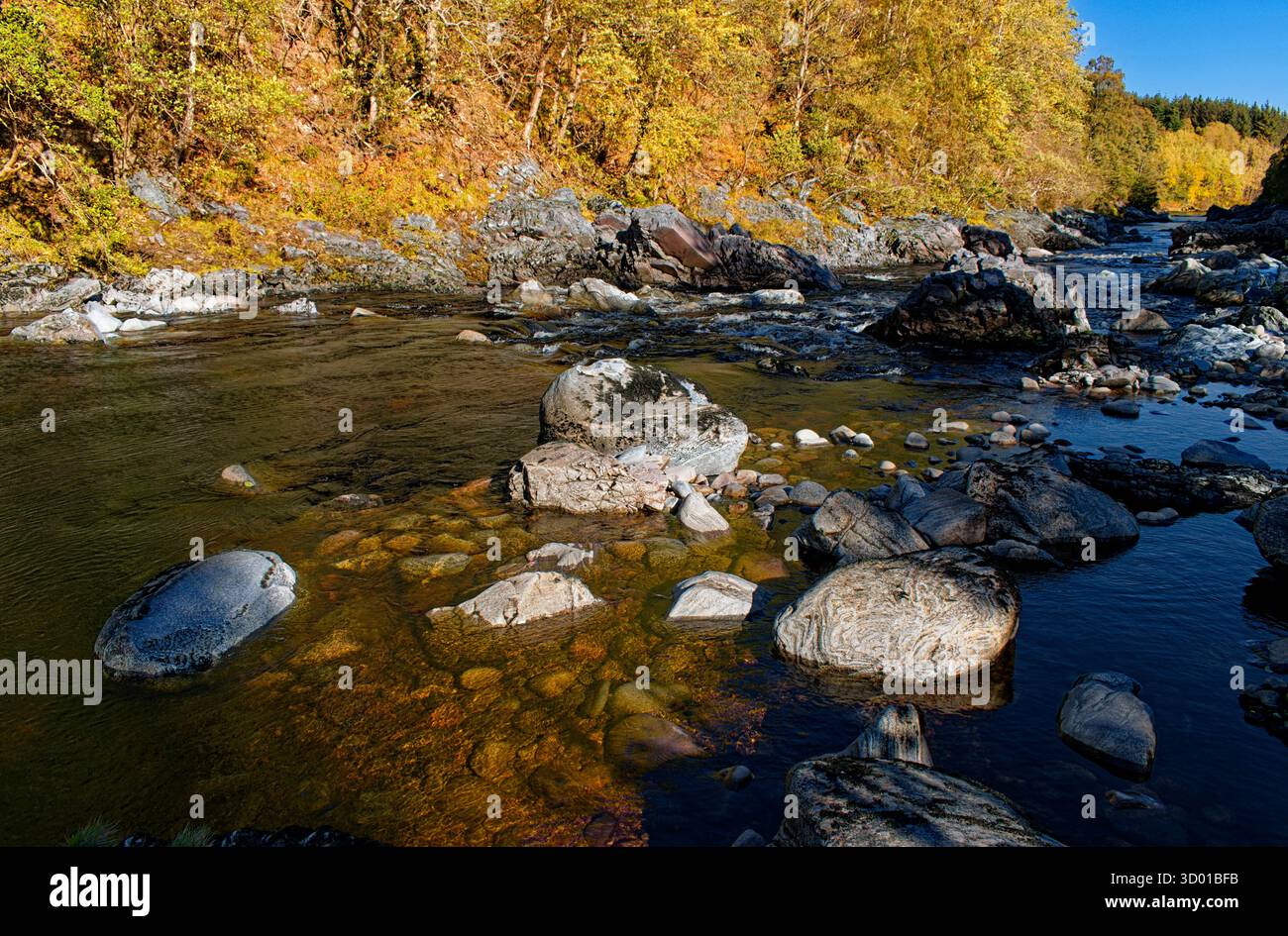 Fiume Findhorn Nairn Banchor Beat o Laird's Beat of Cawdor Castle pozze costeggiate da alberi d'acqua bassa in autunno Foto Stock