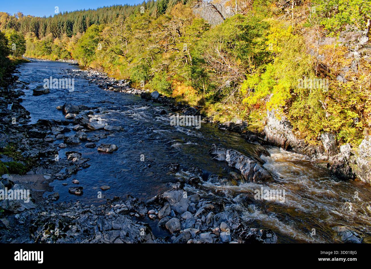 Fiume Findhorn Nairn Banchor Beat o Laird's Beat of Cawdor Castle il fiume e gli alberi in autunno Foto Stock