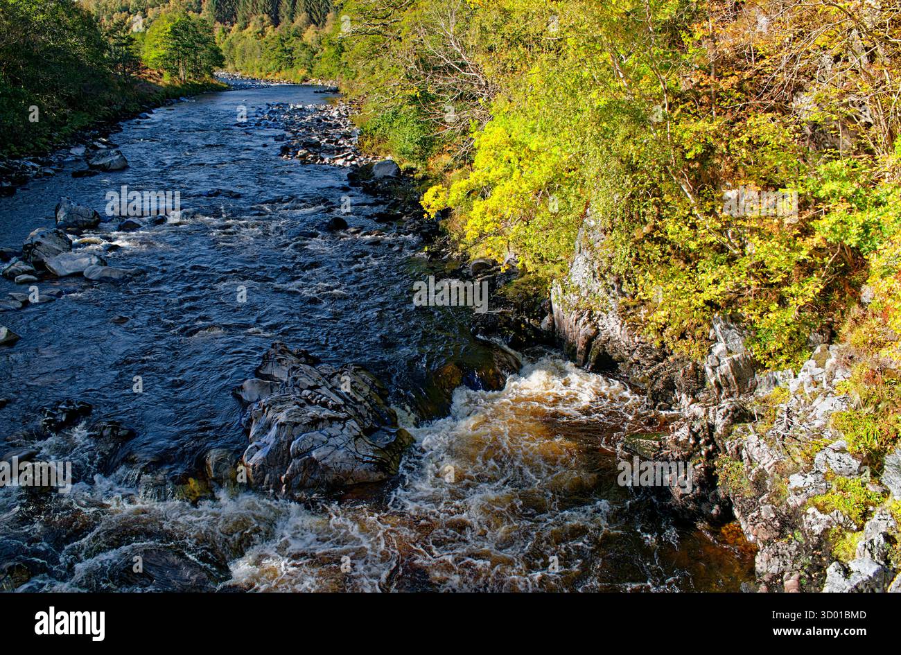 Fiume Findhorn Nairn Banchor Beat o Laird's Beat del Cawdor Castle il fiume in autunno Foto Stock