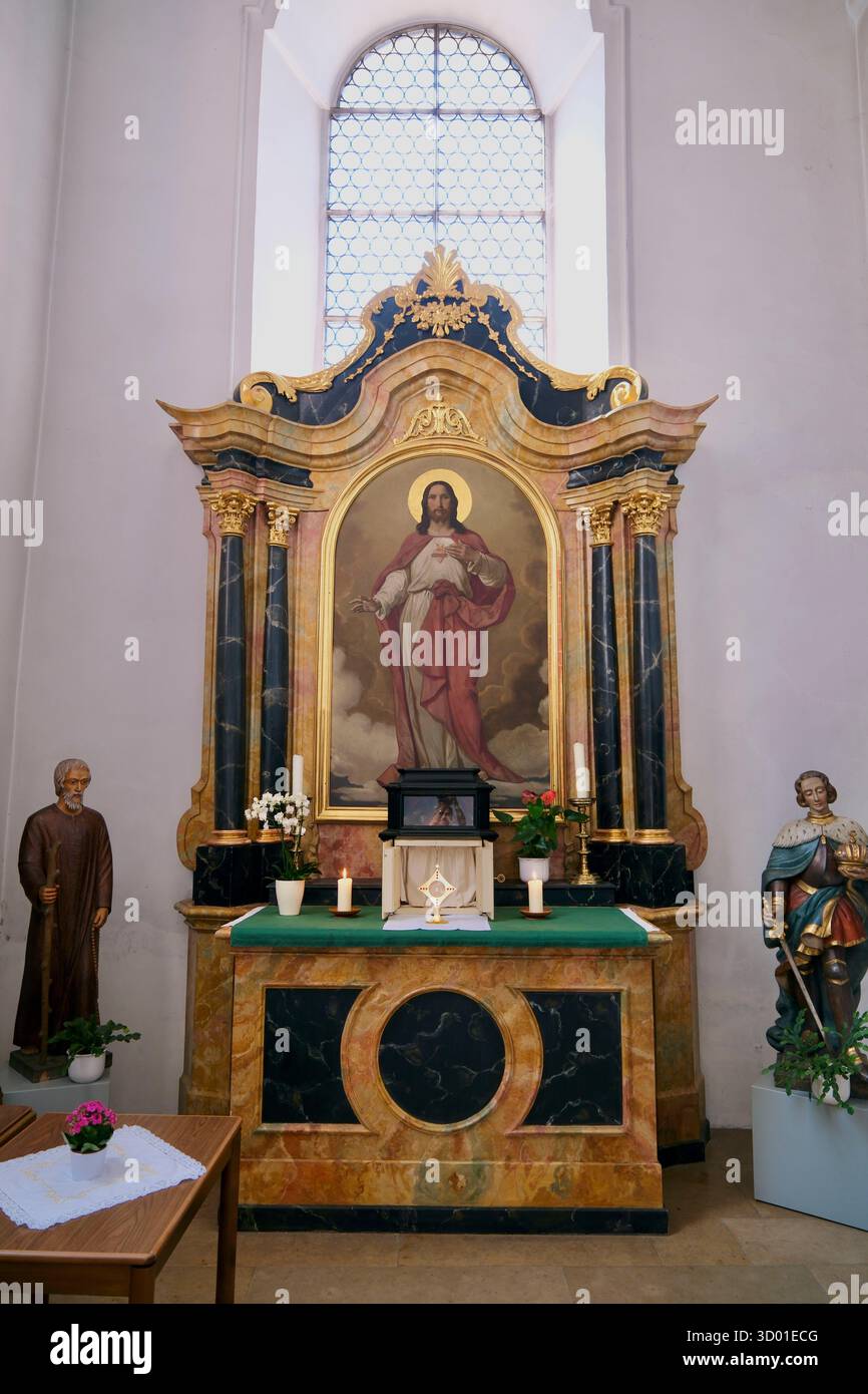 Germania, Baden-Württemberg, Bad Säckingen, la cattedrale barocca di San Fridolino Foto Stock