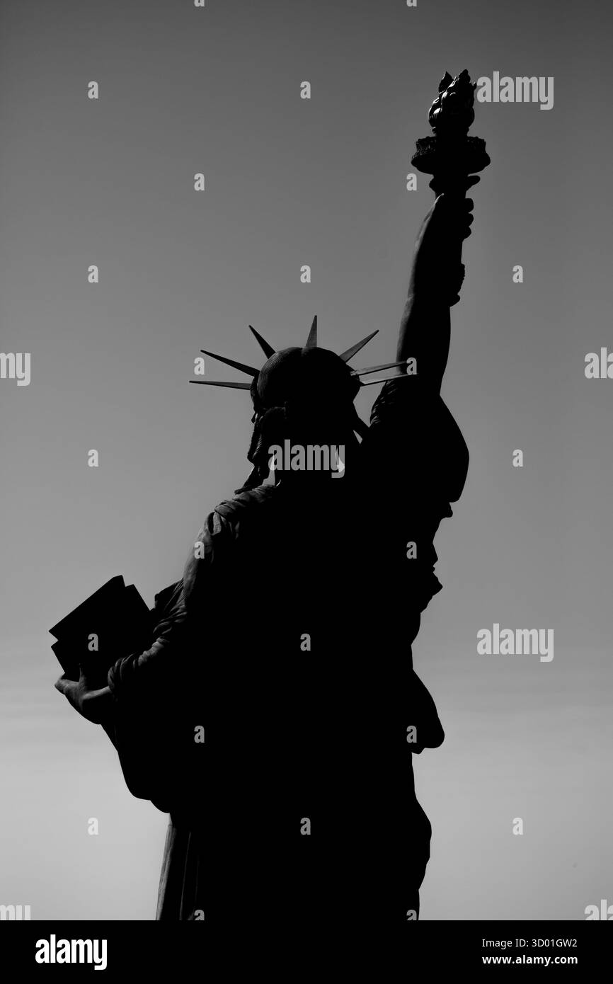 Francia, regione Ile de France, 15° e 16° arrondissement di Parigi, Ile aux Cygnes, Statua della libertà di Auguste Bartholdi, Foto Stock
