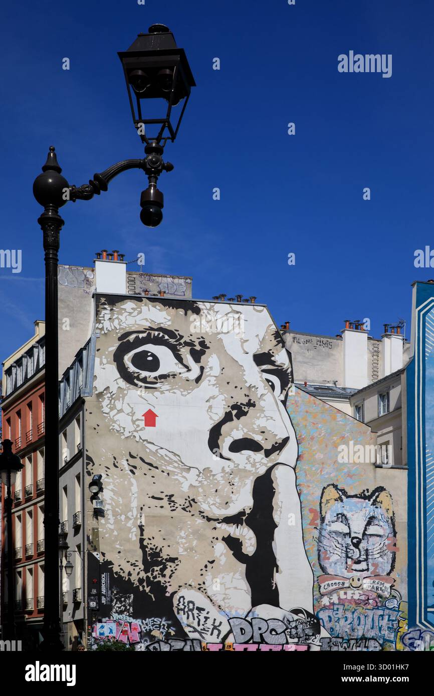 Francia, regione Ile de France, primo arrondissement di Parigi, les Halles, rue Brisemiche, mur d'Artistes, Jef aerosol, Chuuuttt !!!, 2011 Foto Stock