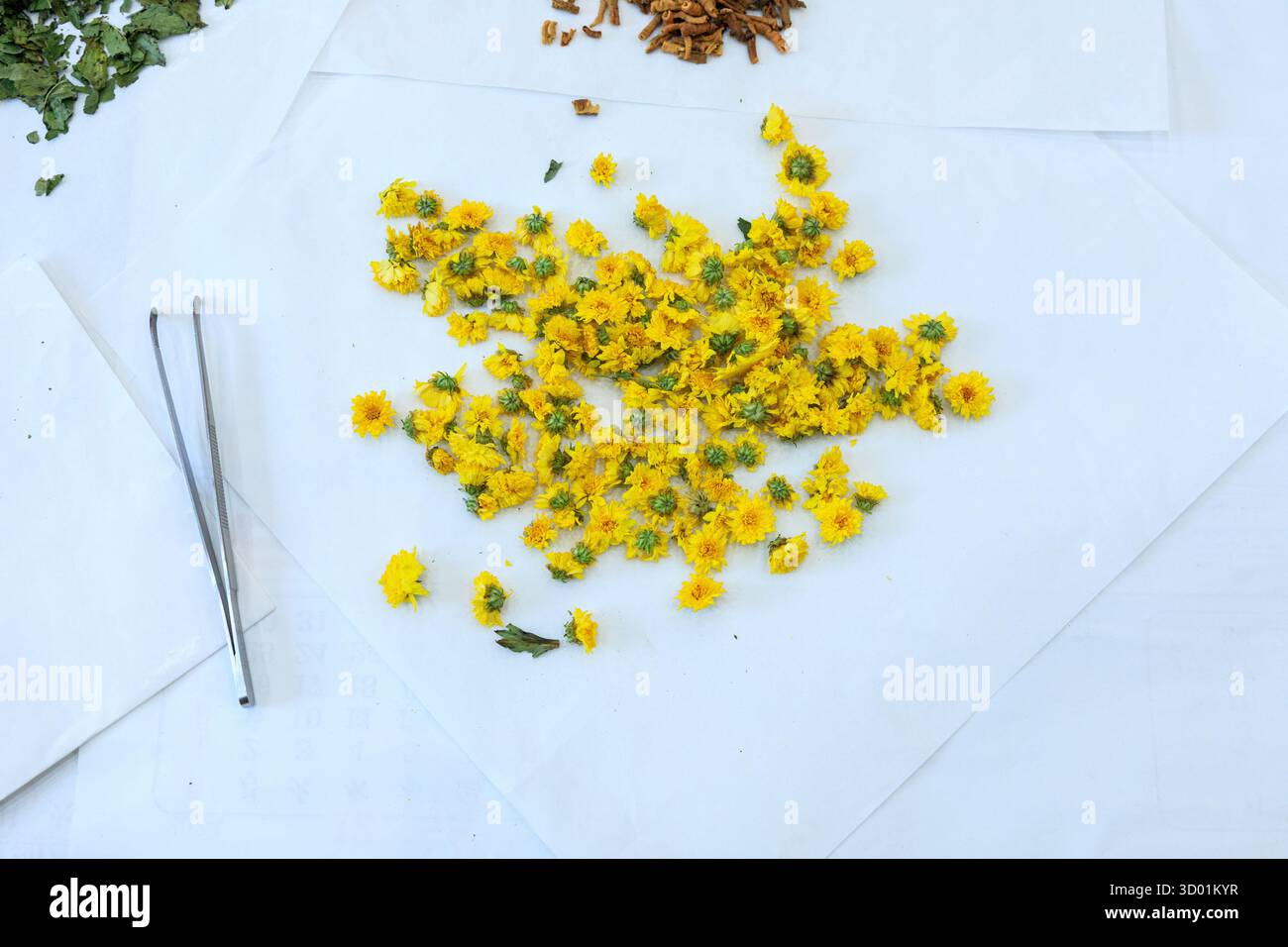 Corea del Sud, Seoul, Dongdaemun District, Herbal Medicine Market District, Damiga Oriental Medicine Cafe Foto Stock