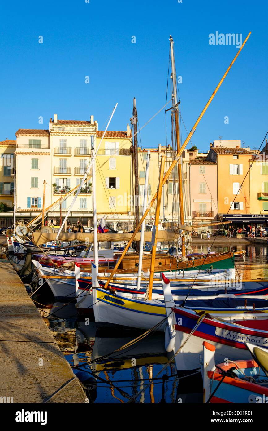 Francia, Var, Saint Tropez, il vecchio porto, barche di pesca tradizionale chiamate Pointu Foto Stock
