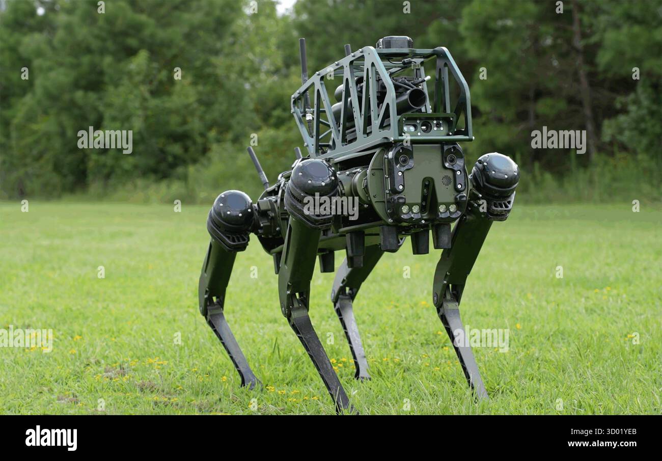 Cane robot della compagnia americana Skybourne. Foto: Skyborne Foto Stock