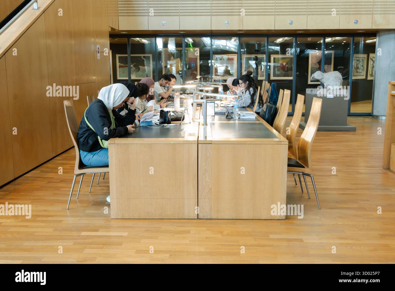 Studenti di età mista che ricercano e collaborano presso la moderna biblioteca universitaria di Alessandria, Egitto Foto Stock